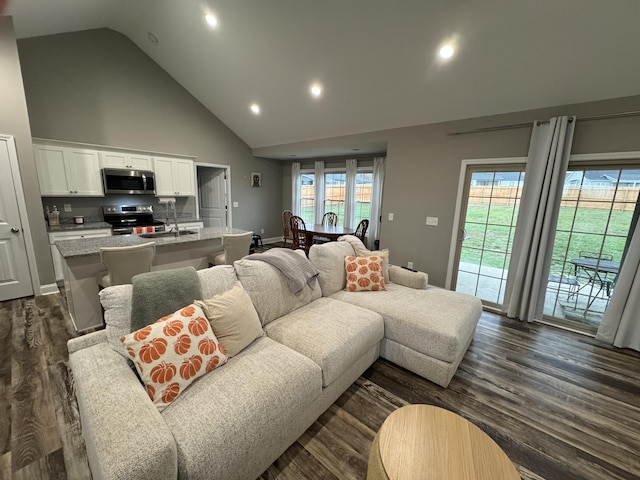 living room with dark hardwood / wood-style flooring, sink, and high vaulted ceiling