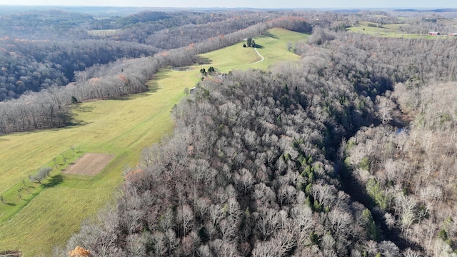 aerial view with a rural view