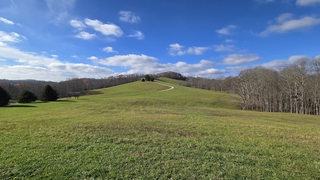 view of mountain feature