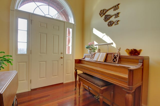 foyer with a healthy amount of sunlight and wood-type flooring