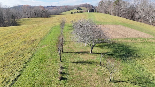 drone / aerial view with a rural view