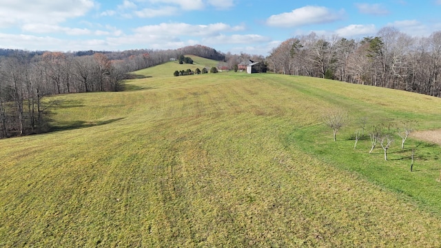 view of yard featuring a rural view