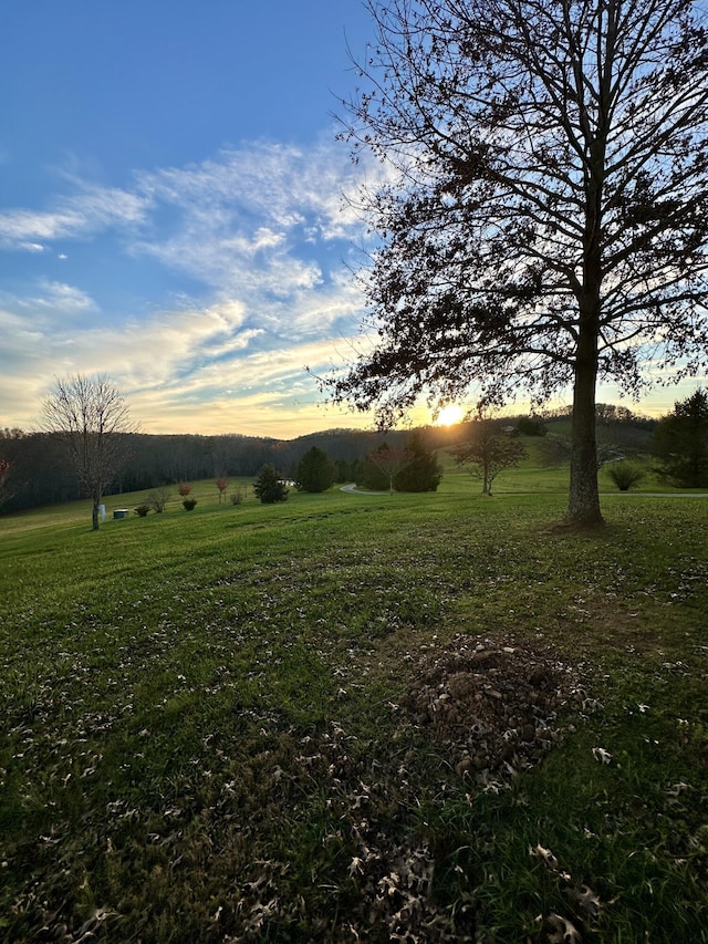 yard at dusk with a rural view