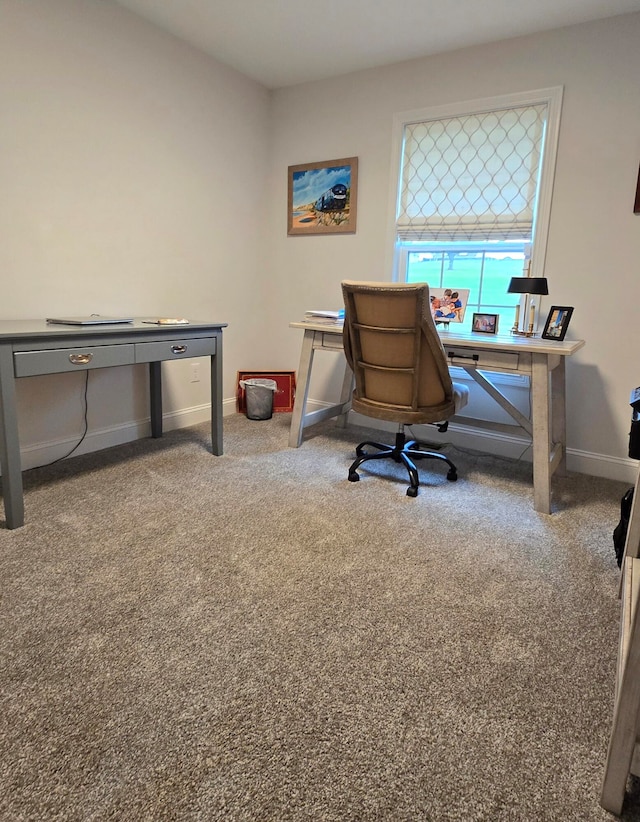 office space with carpet floors