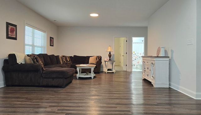 living room featuring dark hardwood / wood-style flooring