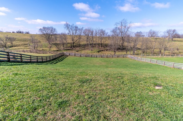 view of yard with a rural view