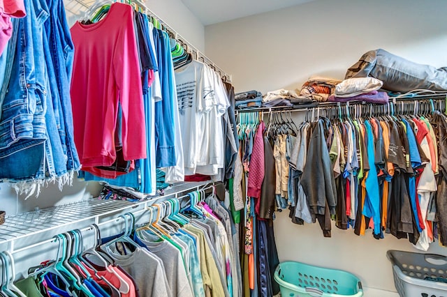 view of spacious closet