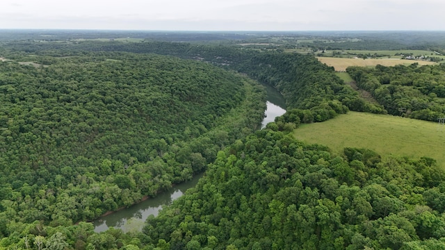 2458 High Bridge Rd, Lancaster, KY 40444 - drone / aerial view of a large body of water and a forest