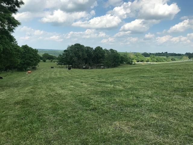 view of local wilderness featuring a rural view