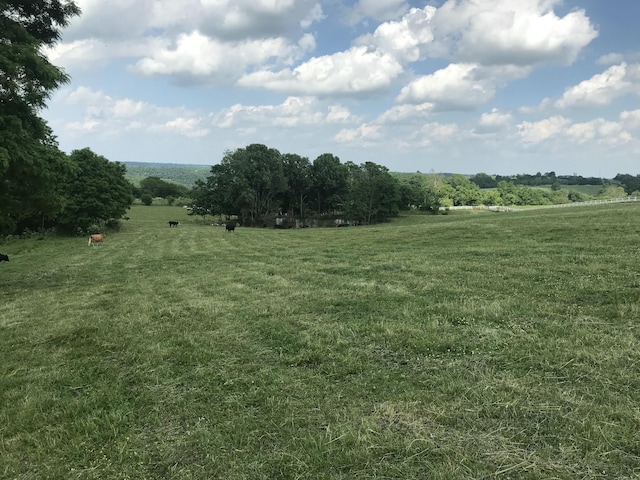 2458 High Bridge Rd, Lancaster, KY 40444 - view of grassy yard with a view of countryside