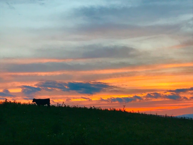 view of nature at dusk