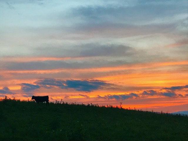 2458 High Bridge Rd, Lancaster, KY 40444 - view of local wilderness featuring rural landscape