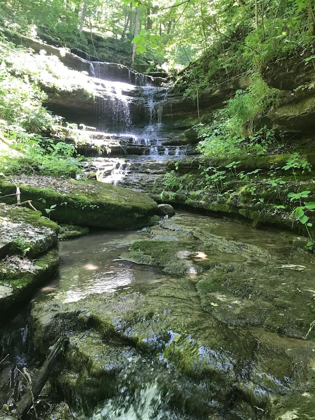 2458 High Bridge Rd, Lancaster, KY 40444 - view of nature