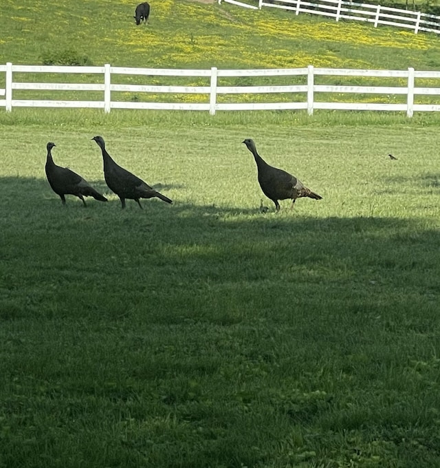 2458 High Bridge Rd, Lancaster, KY 40444 - view of yard with a view of countryside