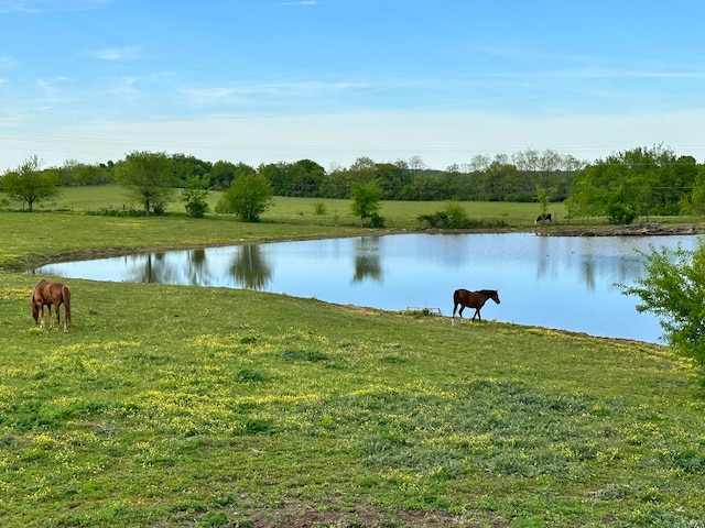 water view with a rural view