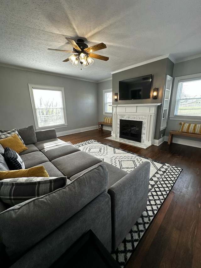 2458 High Bridge Rd, Lancaster, KY 40444 - living area featuring ornamental molding, hardwood / wood-style flooring, a high end fireplace, ceiling fan, and baseboards