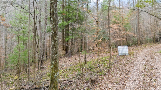 LOT21 Lacey Ln, Campton KY, 41301 land for sale