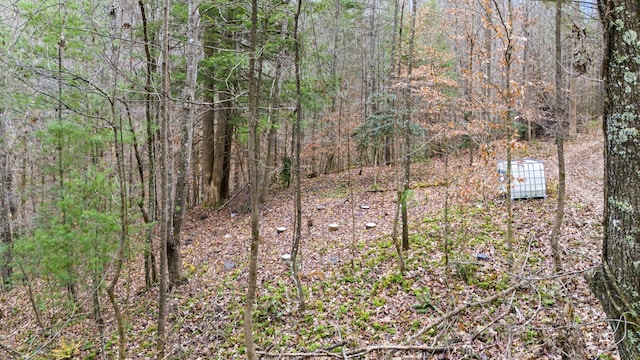 Listing photo 2 for LOT21 Lacey Ln, Campton KY 41301