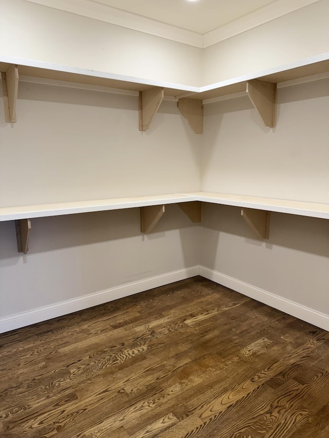 walk in closet with dark wood-type flooring
