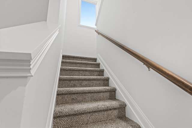 stairway featuring carpet flooring