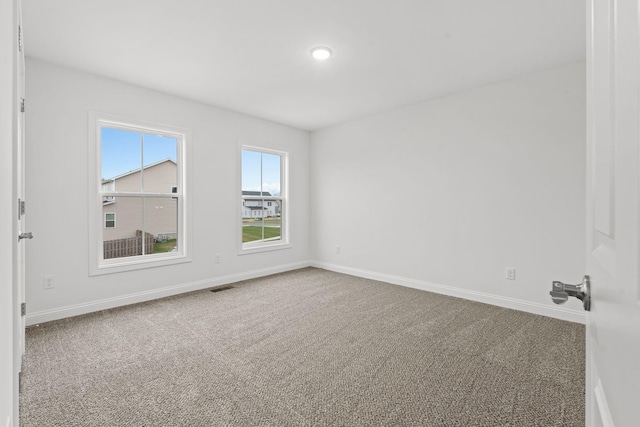 carpeted spare room with a raised ceiling and a healthy amount of sunlight