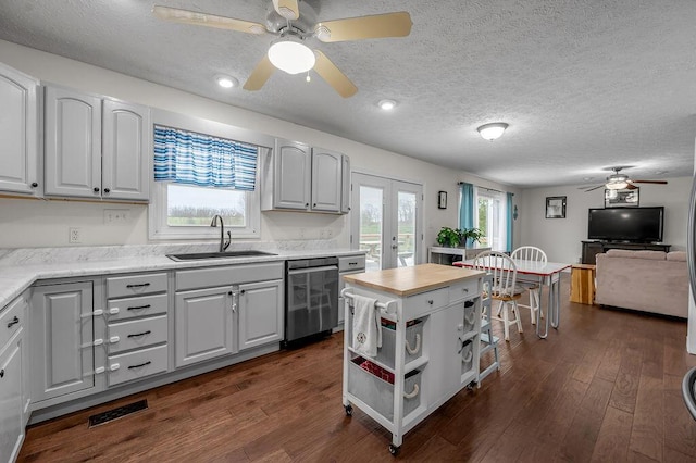 kitchen with dishwasher, a healthy amount of sunlight, sink, and dark hardwood / wood-style floors