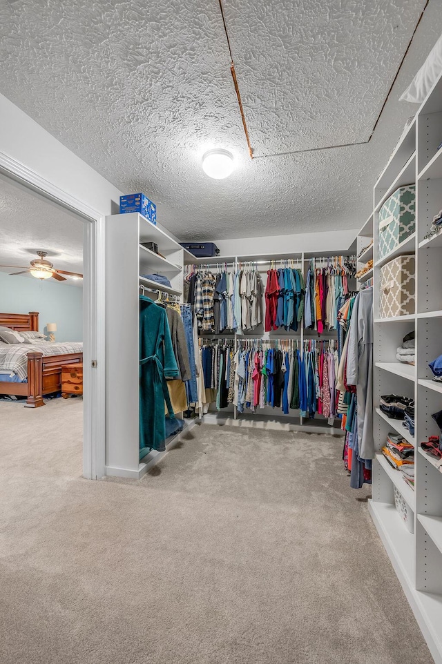 walk in closet with ceiling fan and carpet