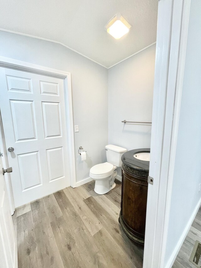 bathroom featuring hardwood / wood-style floors, vanity, and toilet