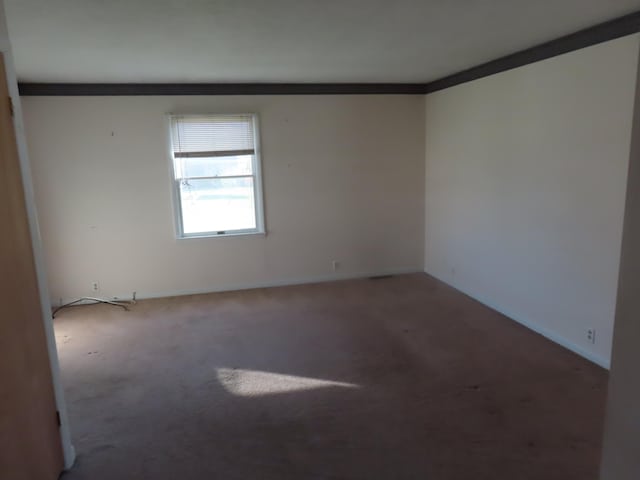 carpeted spare room featuring ornamental molding