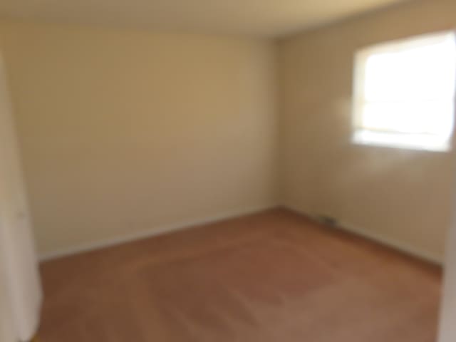 empty room featuring carpet floors