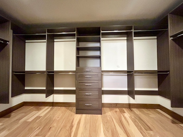 spacious closet with light hardwood / wood-style flooring