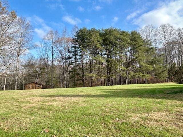 151 Surrounding Hills Dr, Somerset, KY 42503 - view of yard
