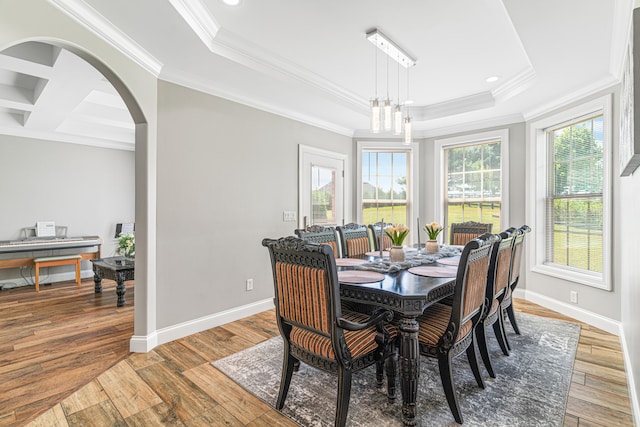 dining space featuring ornamental molding and a wealth of natural light