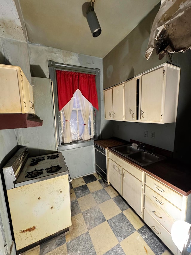 kitchen featuring white stove, extractor fan, and sink