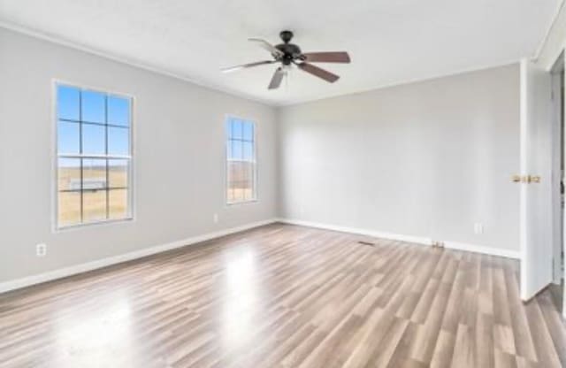 spare room featuring a wealth of natural light, ceiling fan, and light wood-type flooring