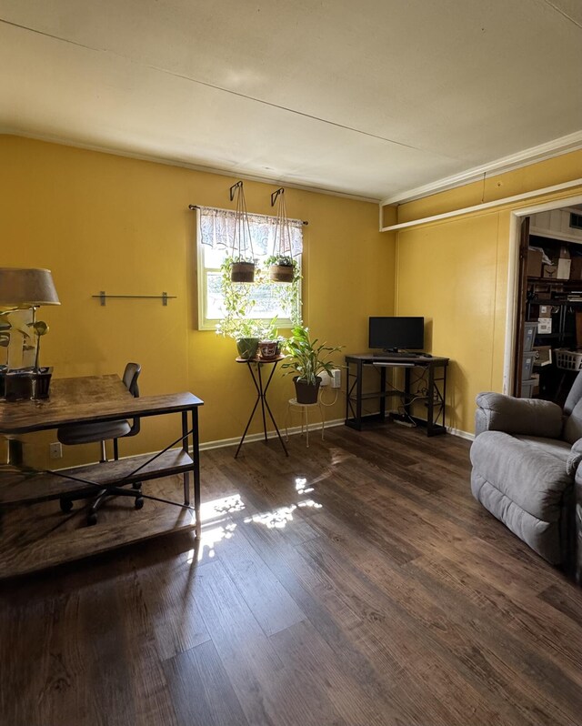 interior space featuring ceiling fan, light wood-type flooring, and crown molding