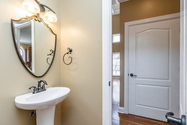 bathroom with hardwood / wood-style floors, sink, and crown molding