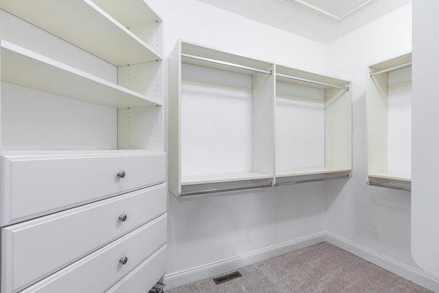 spacious closet with light colored carpet