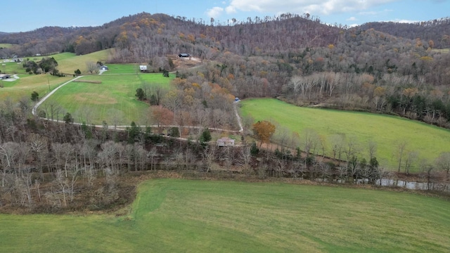 birds eye view of property featuring a mountain view