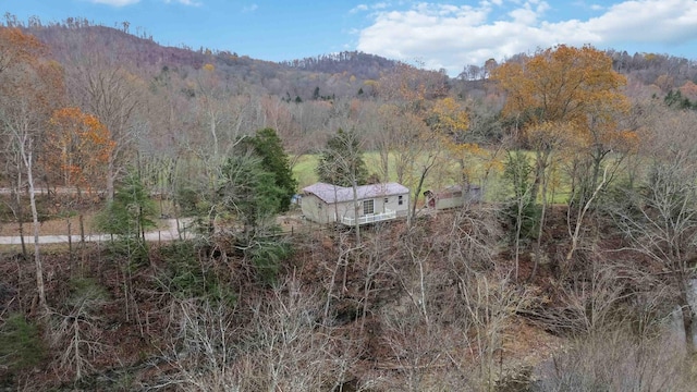 view of mountain feature with a wooded view