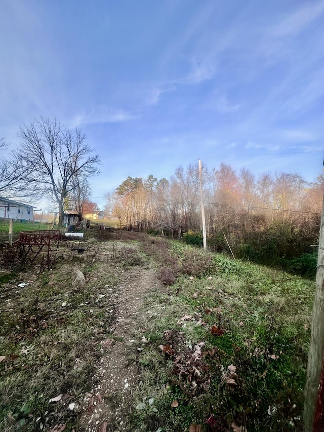 view of yard with a rural view