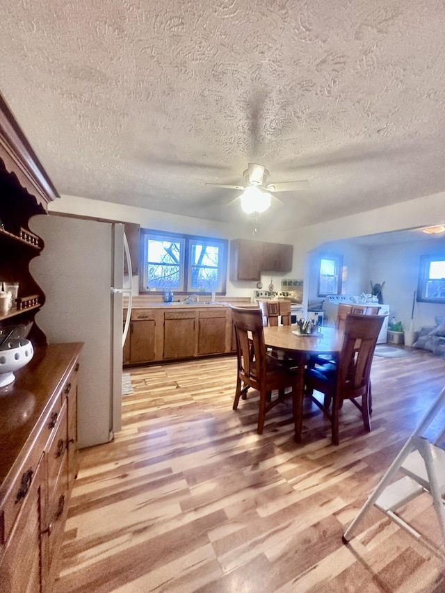 dining room with ceiling fan, light wood-type flooring, and a textured ceiling