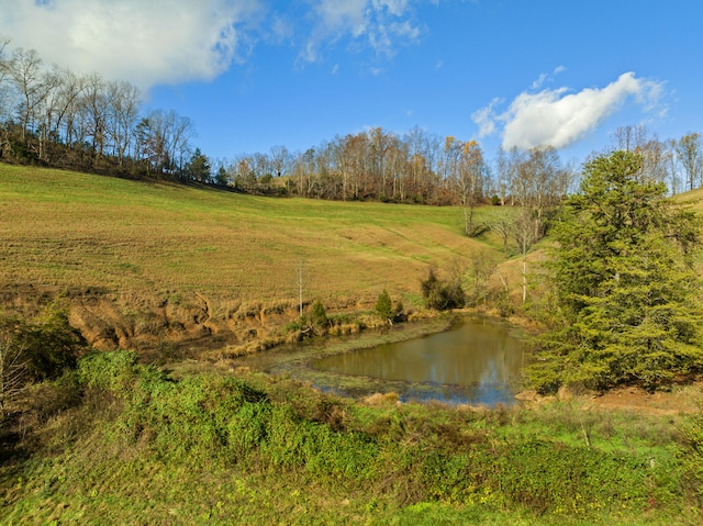 view of local wilderness with a water view