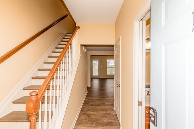 stairway with hardwood / wood-style floors