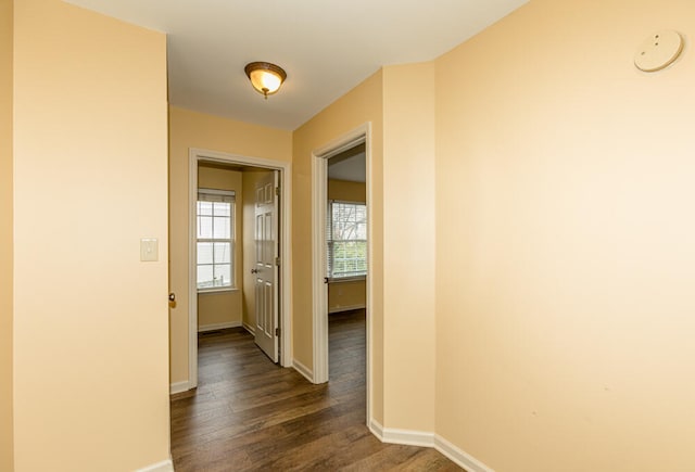 corridor with dark wood-type flooring