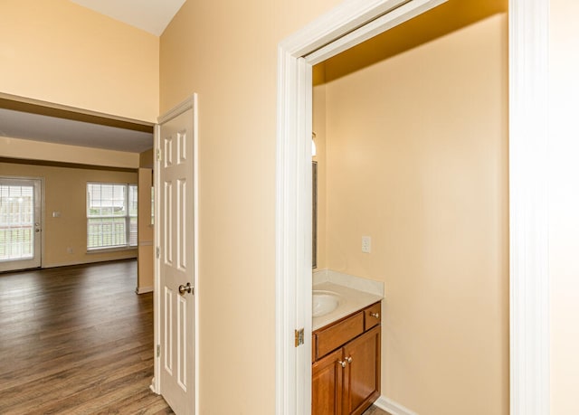 bathroom featuring wood-type flooring and vanity