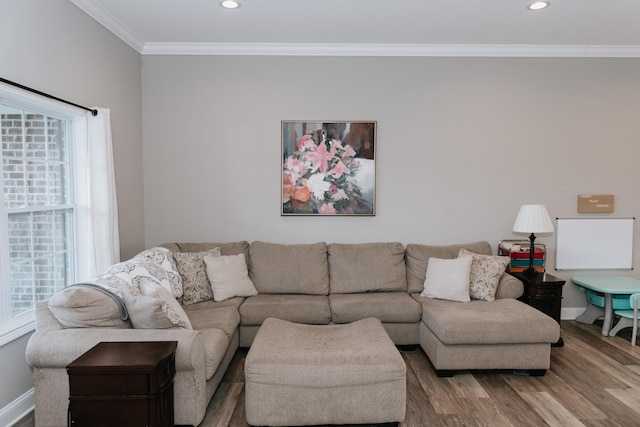 living room with wood-type flooring, a wealth of natural light, and ornamental molding