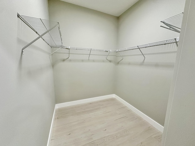 spacious closet featuring light wood-style floors