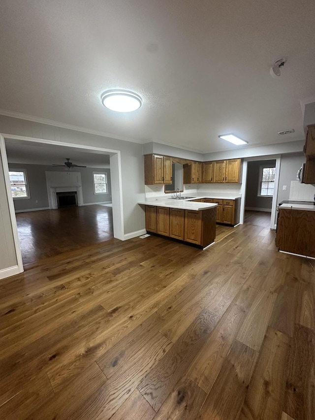 kitchen with ceiling fan, sink, dark hardwood / wood-style floors, kitchen peninsula, and crown molding