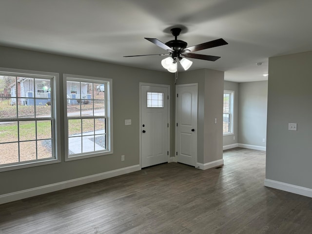 entryway featuring plenty of natural light, ceiling fan, and dark hardwood / wood-style flooring